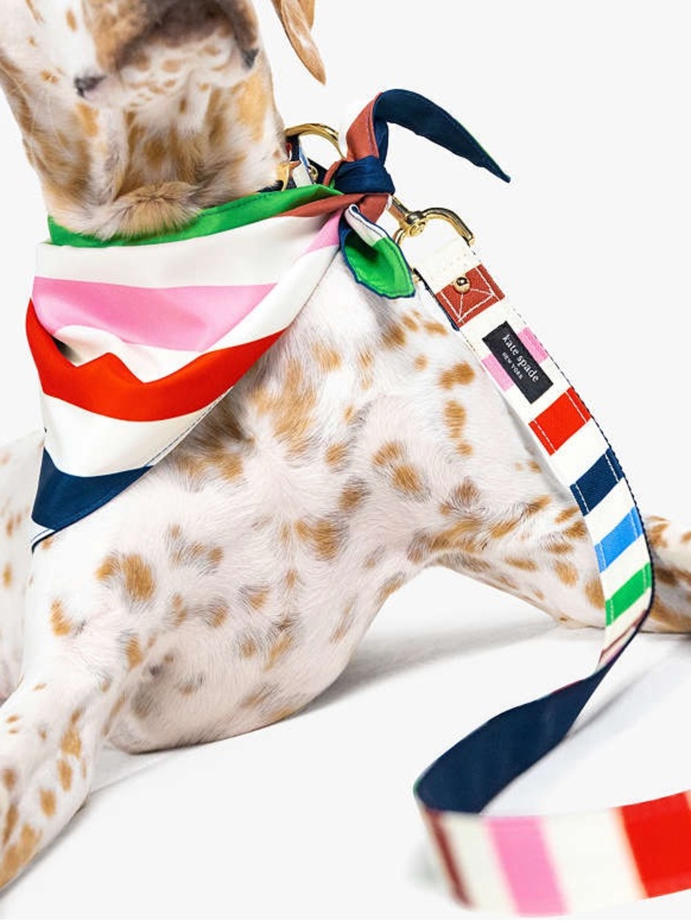 Kate Spade NY Adventure Stripe Dog Collar & Leash Combo - - Picture 2 of 16